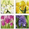 Artland Leinwandbild »Tulpen Lilien Hyazinthe«, Blumen, (4 St.), 4er Set,