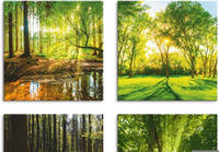 Artland Leinwandbild "Wald Bach Fr&uuml;hling Windrosen Sonne Baum" Wald 4 Stk....