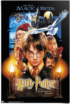 Reinders Harry Potter 61x91,5cm (88200)