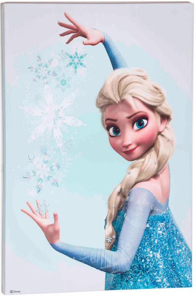 Disney Frozen Die Eiskönigin Elsa 50x70cm