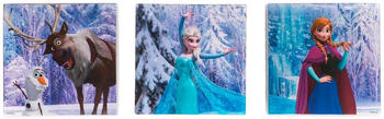 Disney Frozen Die Eiskönigin 30x30cm 3-tlg.