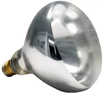 APS 237354