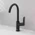 Hansgrohe Logis 210 mit Schwenkauslauf mattschwarz (71130670)