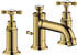 polished gold optic (16536990)