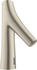 brushed nickel (12174820)
