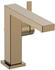 brushed bronze (73024140)