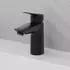 Hansgrohe Logis 100 mattschwarz (71107670)