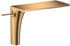 brushed brass (18020950)