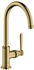 polished gold optic (16518990)