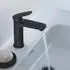 Duravit Wave Einhebel-Waschtischmischer M schwarz matt mit Zugstangen-Ablaufgarnitur (WA1020001046)