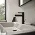 Hansgrohe 76025670