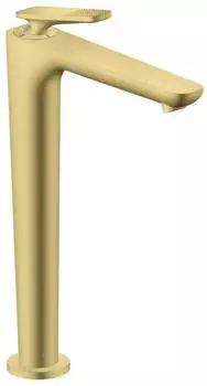 Hansgrohe 49051950