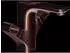 Hansgrohe AXOR Urquiola 2-Griff-Waschtischarmatur 120 mit Zugstangen-Ablaufgarnitur Brushed Gold Optic (11024250)