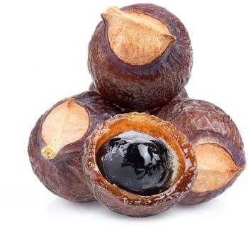 NaturGut Waschnüsse im Baumwollbeutel + Waschsäckchen, 1kg Waschnuss Sapindus Mukorossi Allergiekergeeignet 100% biologisch natürlich Waschmittel
