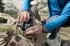 LifeStraw Peak Squeeze Bottle 1l dark gray
