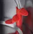 Russell Hobbs Colours Plus+ 2041-17