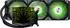 TRYX Stage ARGB 360