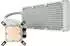 Enermax Liqmax III ARGB 360 mm White