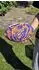 SUN-FLEX American Football Funky Scribble Beachball (74298)