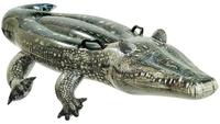 Intex Krokodil