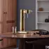 Aarke Carbonator III gold