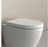 Bernstein U1002 WC-Sitz mit Absenkautomatik Duroplast