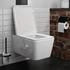 Hansgrohe EluPura WC Sitz SoftClose QuickRelease 440x366mm weiß (60199450)