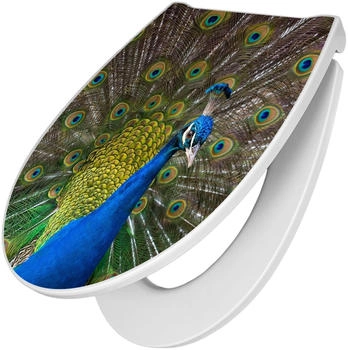 Banjado Premium Toilettendeckel Mit Absenkautomatik Duroplast Pfau