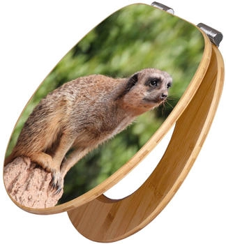Banjado Design WC Sitz Bambus Holz Mit Absenkautomatik Sitzendes Erdmännchen