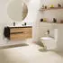 Roca The Gap Round Compact WC-Sitz mit Deckel und Absenkautomatik, weiß (A801D22001)