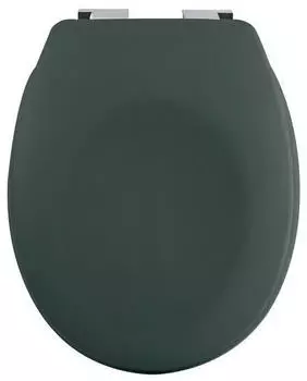 Spirella Neela WC-Sitz Thermoplast Soft-Close Dunkelgr&uuml;n Matt (10.21266)