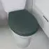 Spirella Neela WC-Sitz Thermoplast Soft-Close Dunkelgrün Matt (10.21266)