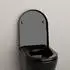 Bernstein WC-Sitz D-Form Softclose, schwarz glänzend (U1002)