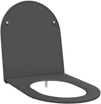 vidaXL Toilettensitz Duroplast Anthrazit Schnellverschluss Soft-Close (42002366)