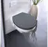 Wenko Ostuni WC-Sitz Easy Close Thermoplast, grau (26203100)