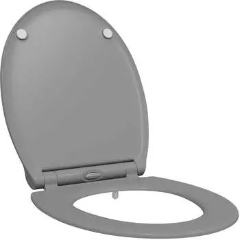 vidaXL Toilettensitz Duroplast Soft-Close grau (45,5x37,5x3,8cm)