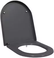 vidaXL Toilettensitz Anthrazit 49 x 36 x 4 cm Duroplast