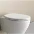 Bernstein U2006 Familien-WC-Sitz mit Kindersitz, Softclose, Quick-Release, oval, weiß (U2006)