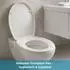 eVendix WC-Sitz Duroplast mit Absenkautomatik, Easy-Fix Clip System (4262455020422)