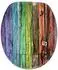 Sanilo WC-Sitz Rainbow mit Absenkautomatik, 37,7x47cm