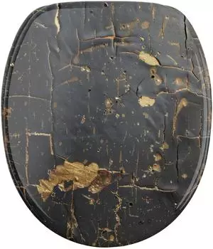 Sanilo Shield WC-Sitz mit Absenkautomatik, oval, schwarz