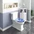 Woltu WC-Sitz Duroplast mit Softclose, Blumenmotiv (WS2448)