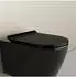Bernstein U2019 WC-Sitz flach, Duroplast, schwarz glänzend, Softclose (U2019)