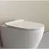 Bernstein U2019 WC-Sitz flach, Duroplast, Softclose, weiß glänzend (U2019)