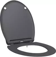 vidaXL Toilettensitz Anthrazit 45,5 x 37,5 x 3,8 cm Duroplast
