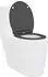 vidaXL Toilettensitz anthrazit, Duroplast (45,5x37,5x3,8cm)
