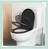 Relaxdays Toilettendeckel D-Form Absenkautomatik Quick Release, Duroplast, anthrazit (10051722_139)