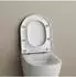 Bernstein U1009 WC-Sitz Softclose, Duroplast, weiß glänzend (U1009)