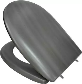 PRIMASTER WC-Sitz mit Absenkautomatik, metallic grau, abnehmbar (HY-D76)