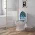 Woltu WC-Sitz oval mit Absenkautomatik und Schnellbefestigung, Meerblick-Motiv (B0CMWTJWFY)
